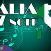 Italia In 7 Note